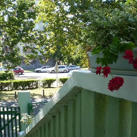 Bella Apartment